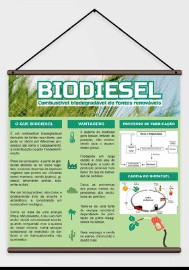 Banner educativo sobre biodiesel